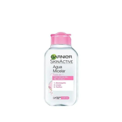 Garnier Ag Micel Clasica X100