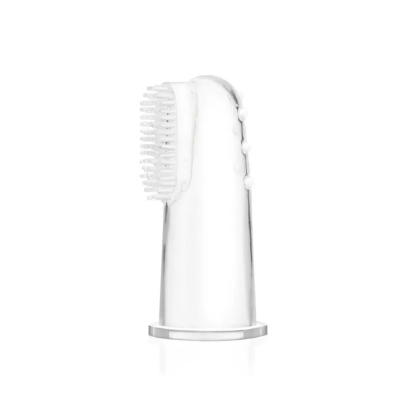 Babelito 55093 Cep Dental