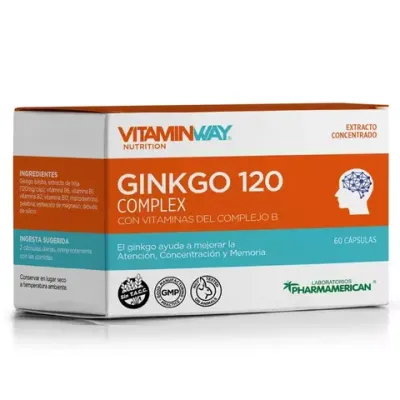 Vitamin Way Gink120 Cpx6Blx10