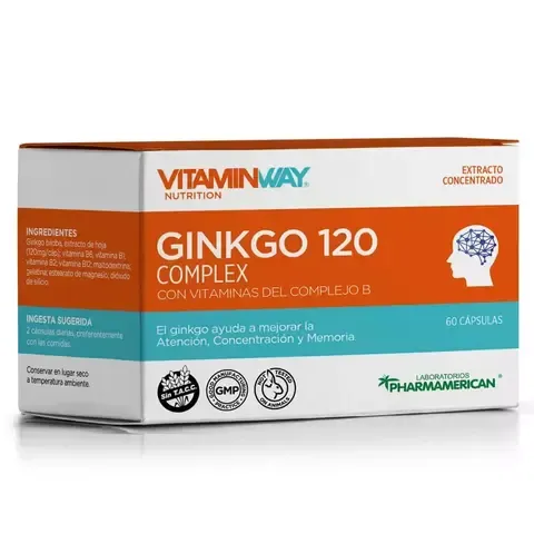 Vitamin Way Gink120 Cpx6Blx10